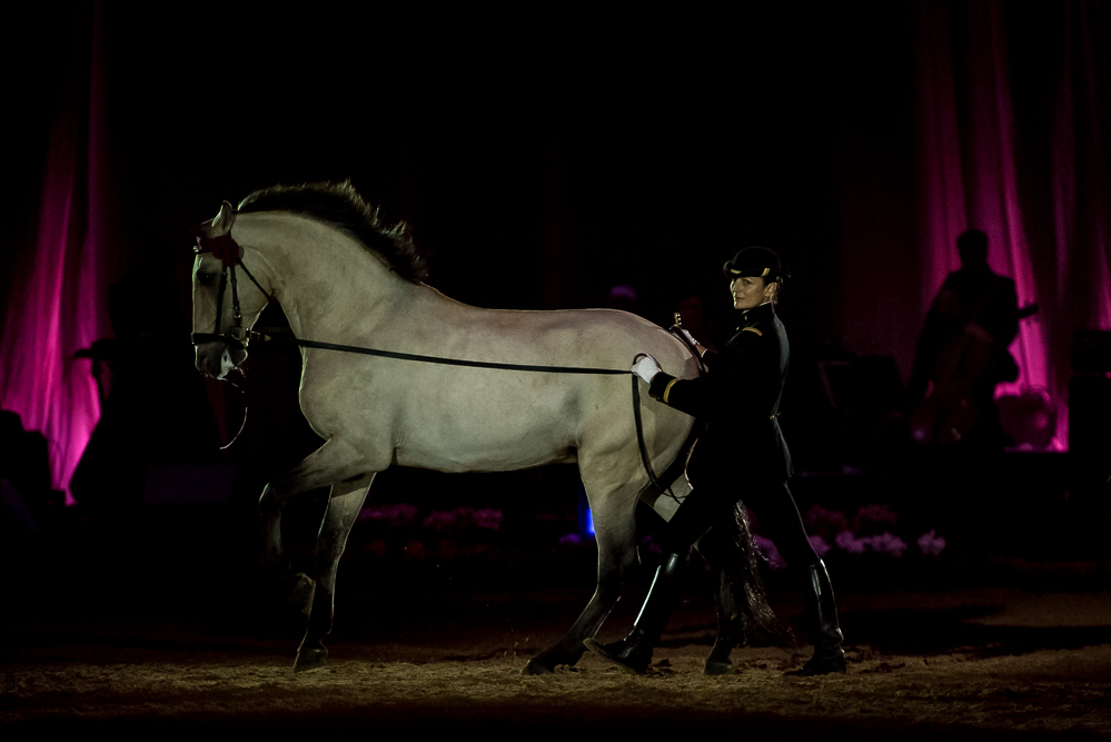 Musicales 20181019-1202