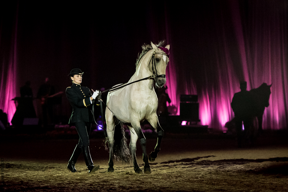 Musicales 20181019-1206