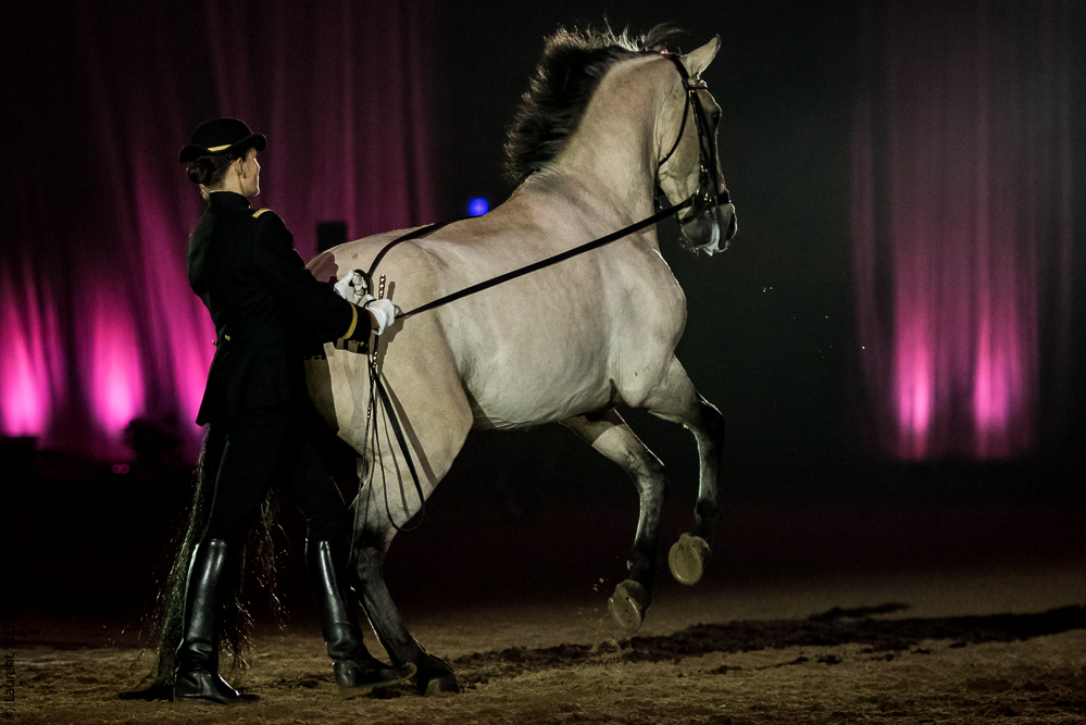 Musicales 20181019-1211