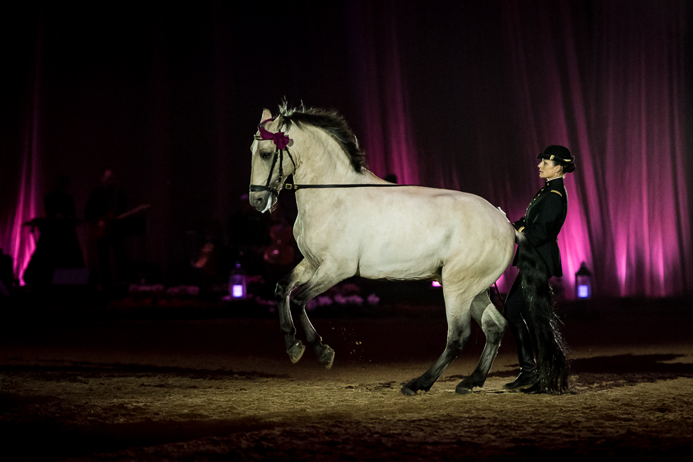 Musicales 20181019-1215