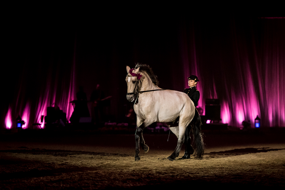 Musicales 20181019-1216