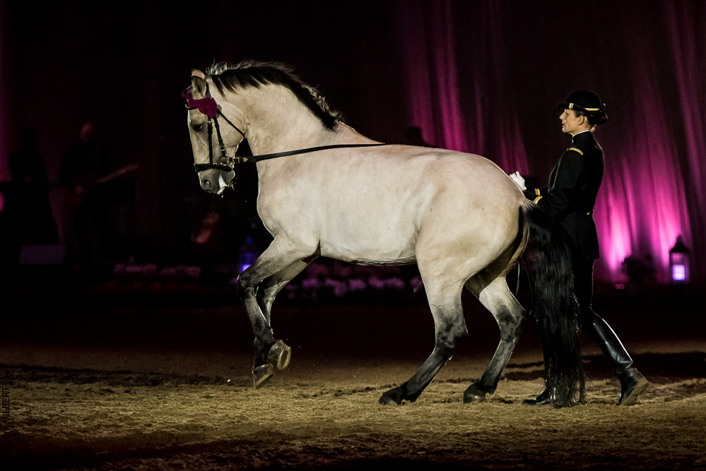 Musicales 20181019-1226