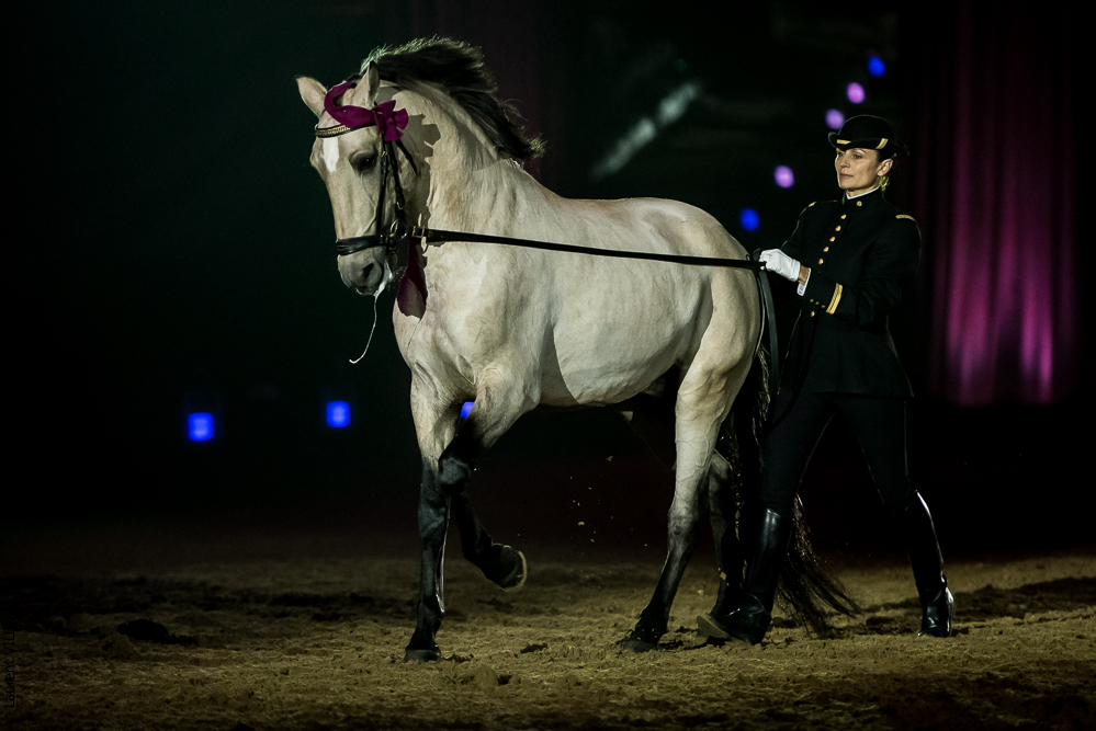 Musicales 20181019-1234