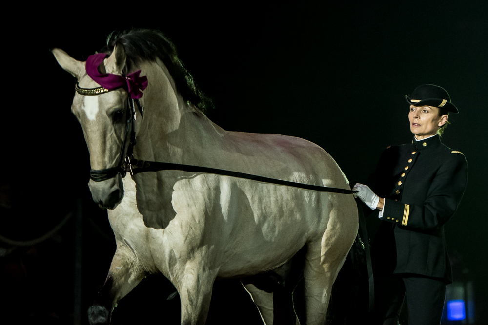 Musicales 20181019-1238