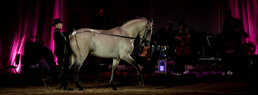 Musicales 20181019-1268