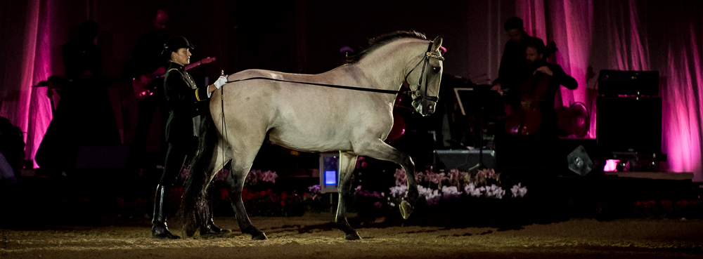 Musicales 20181019-1269