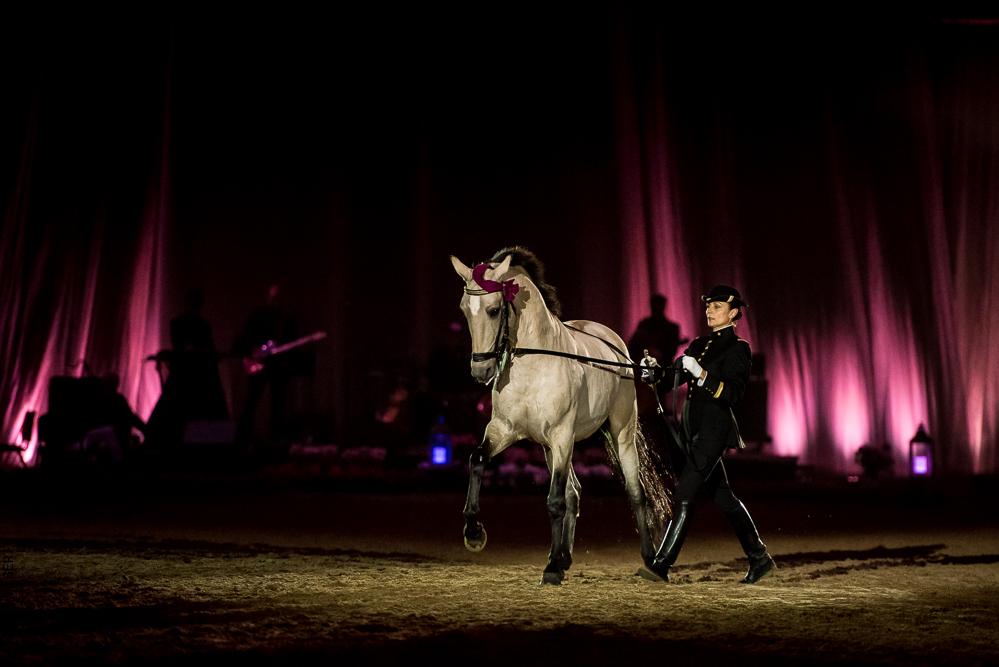 Musicales 20181019-1289