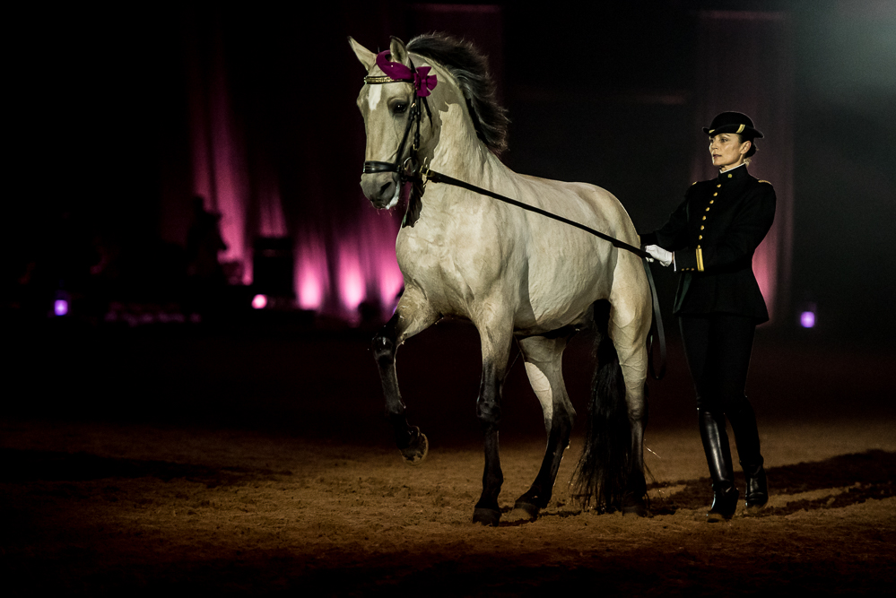 Musicales 20181019-1302