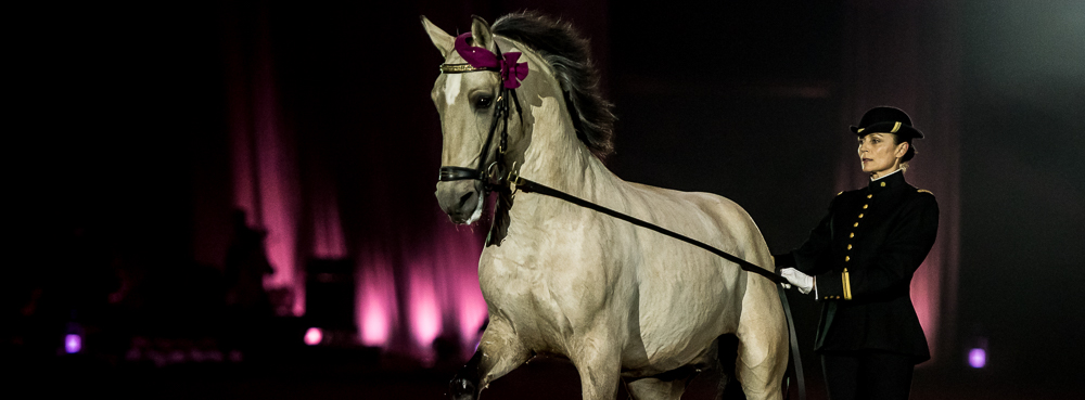 Musicales 20181019-1302