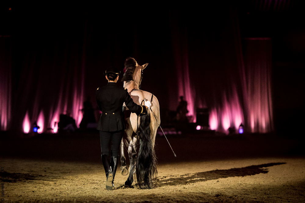 Musicales 20181019-1308