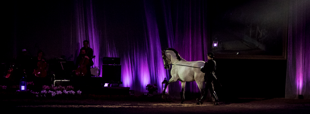 Musicales 20181019-1325