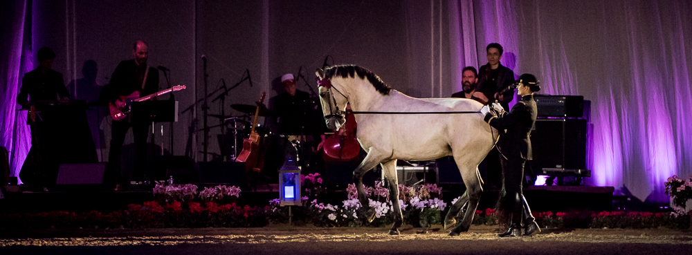 Musicales 20181019-1330