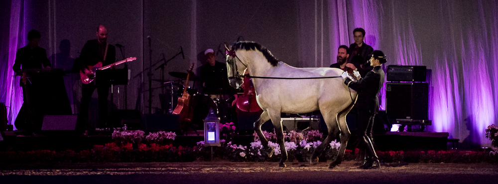 Musicales 20181019-1331