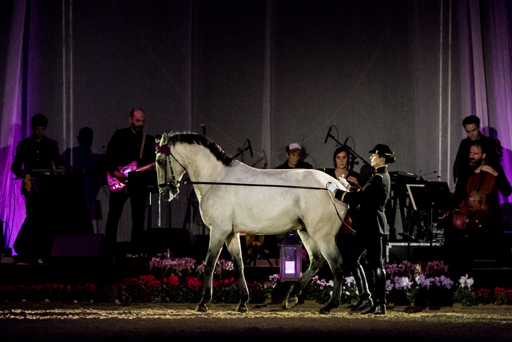 Musicales 20181019-1341