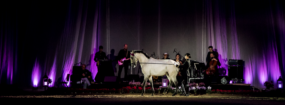 Musicales 20181019-1341