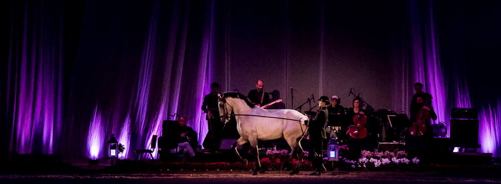 Musicales 20181019-1343