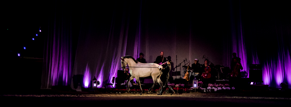 Musicales 20181019-1344