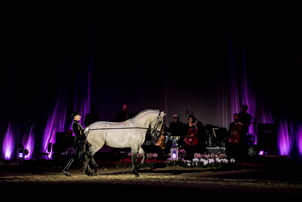 Musicales 20181019-1357