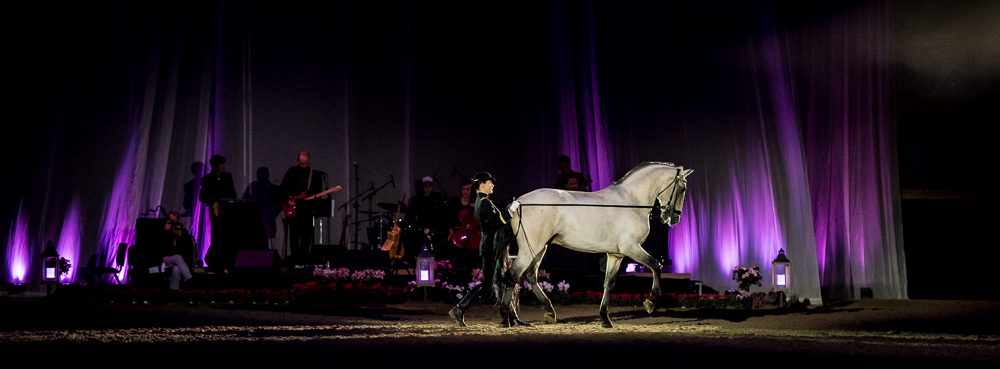 Musicales 20181019-1361