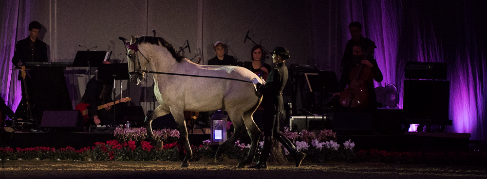 Musicales 20181019-1380