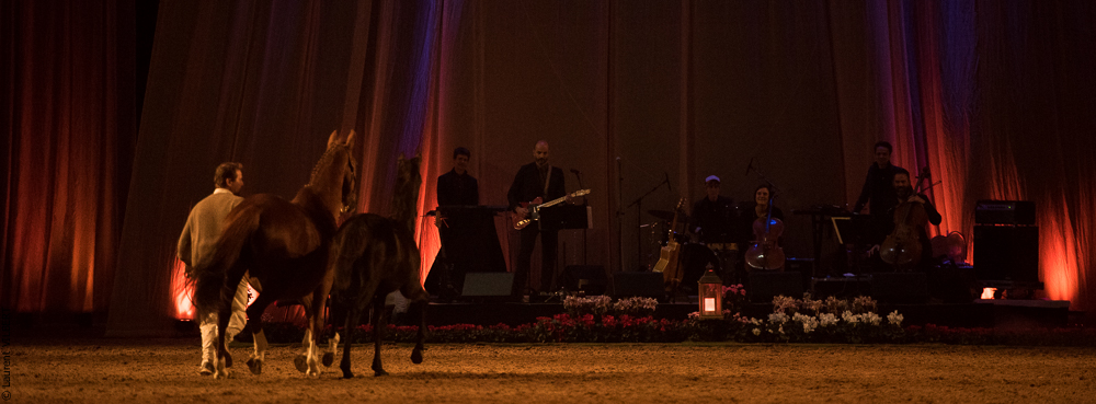 Musicales 20181019-1584