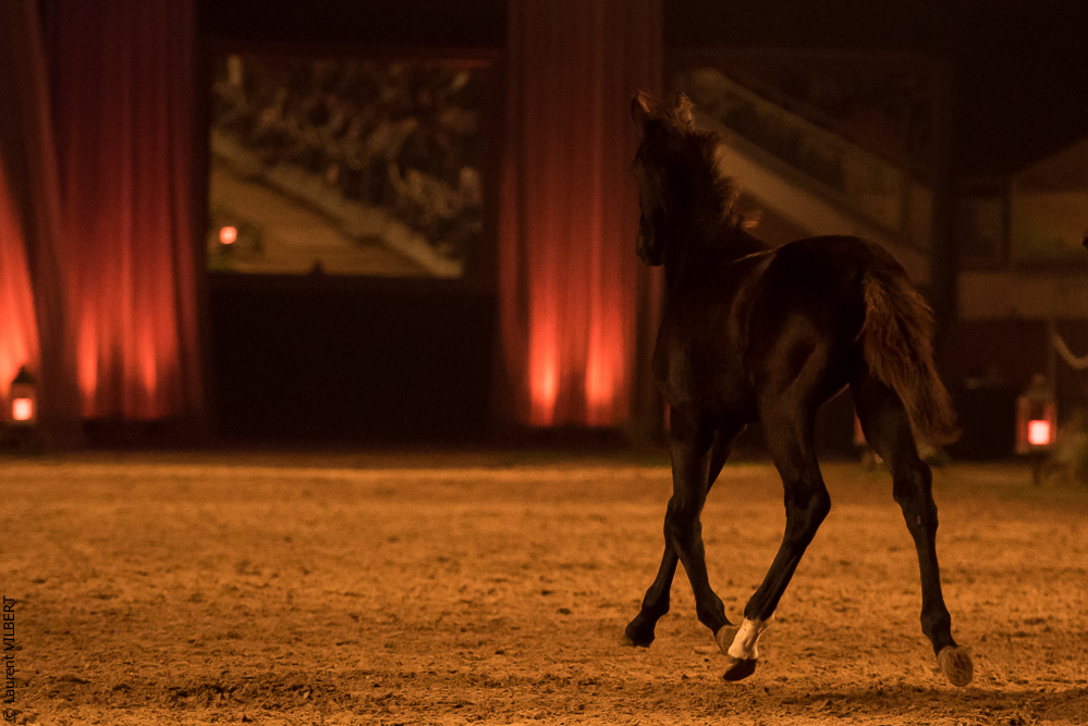 Musicales 20181019-1594