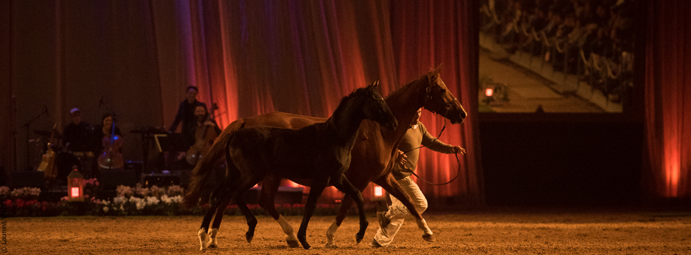 Musicales 20181019-1596