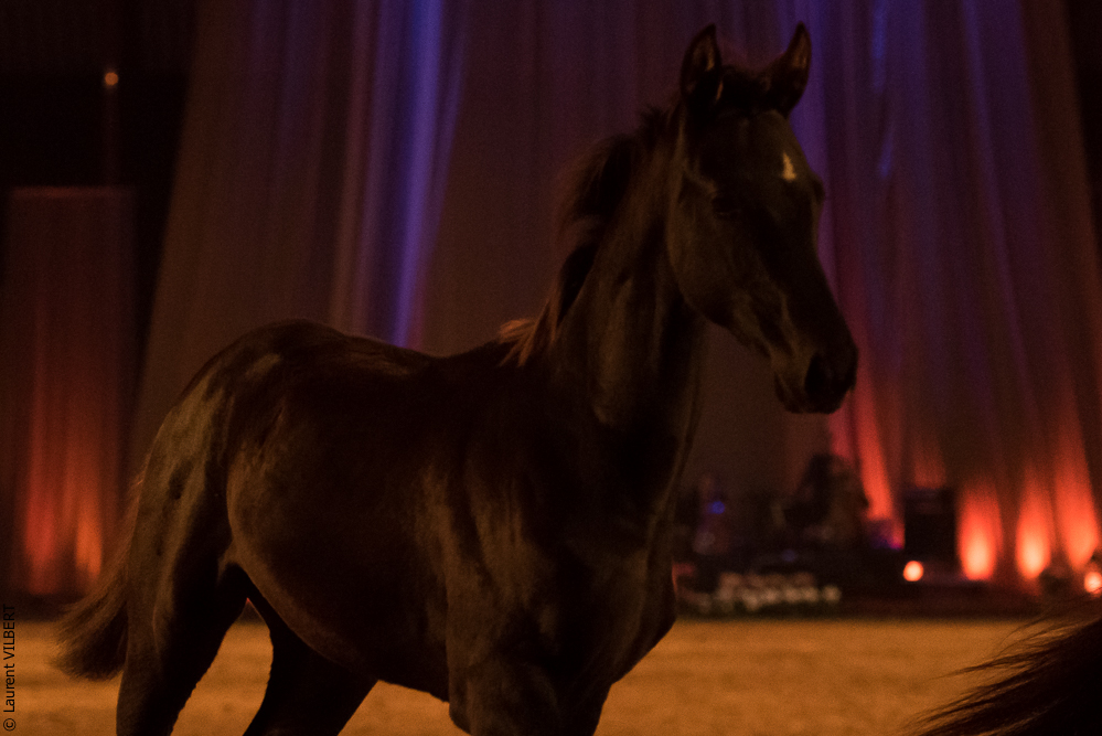 Musicales 20181019-1601