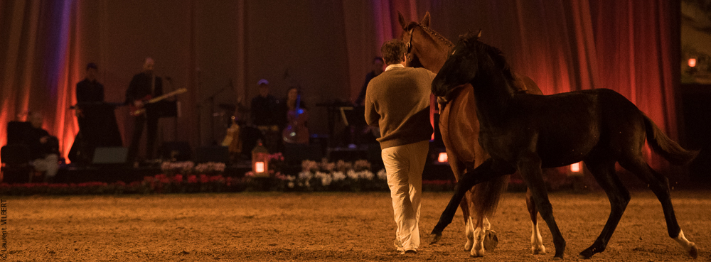 Musicales 20181019-1605