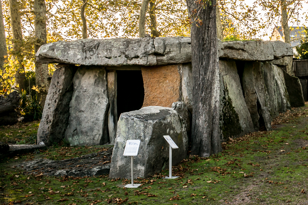 Musicales 20181020-1978