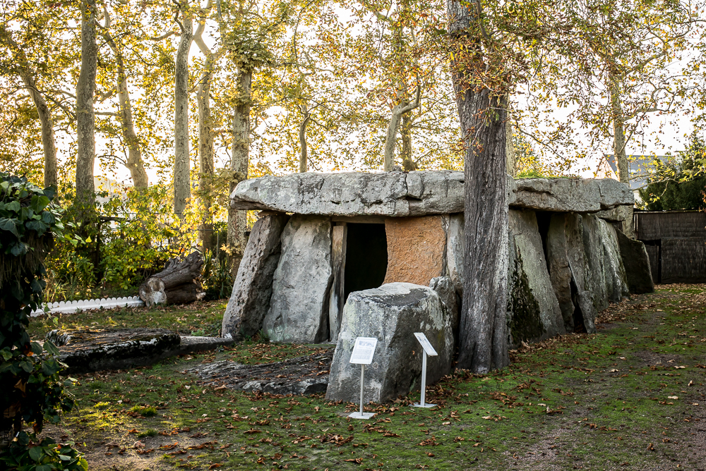 Musicales 20181020-1982