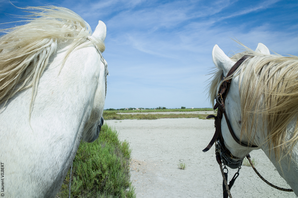 Anabelle 20120722-0312