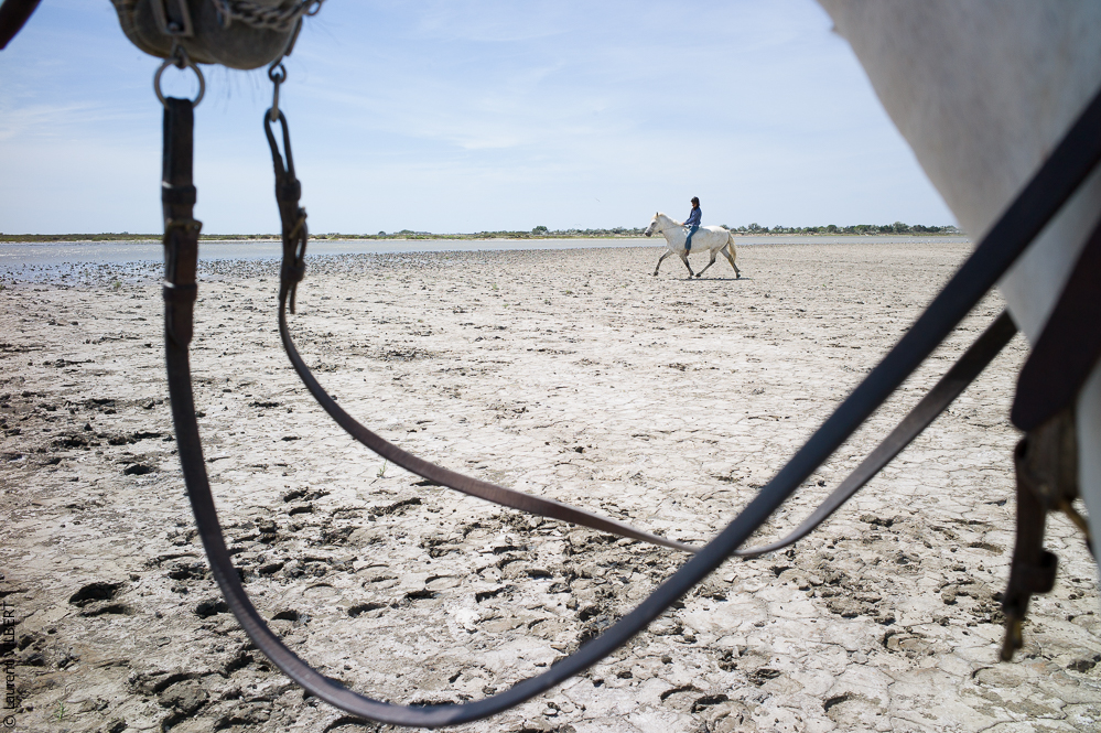 Anabelle 20120722-0530