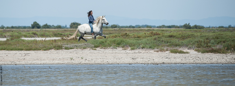 Anabelle 20120722-0668