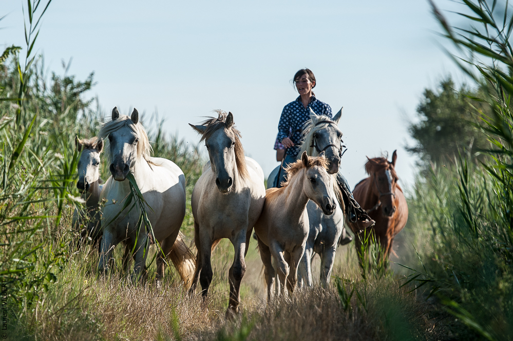 Anabelle 20120722-1078