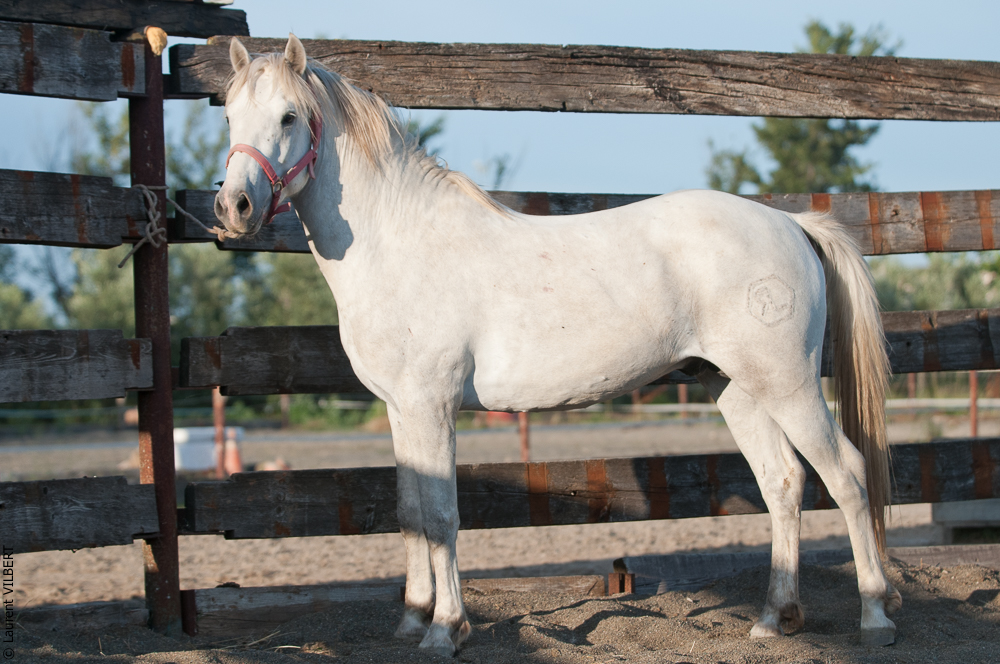 Annabelle 20110609-0572