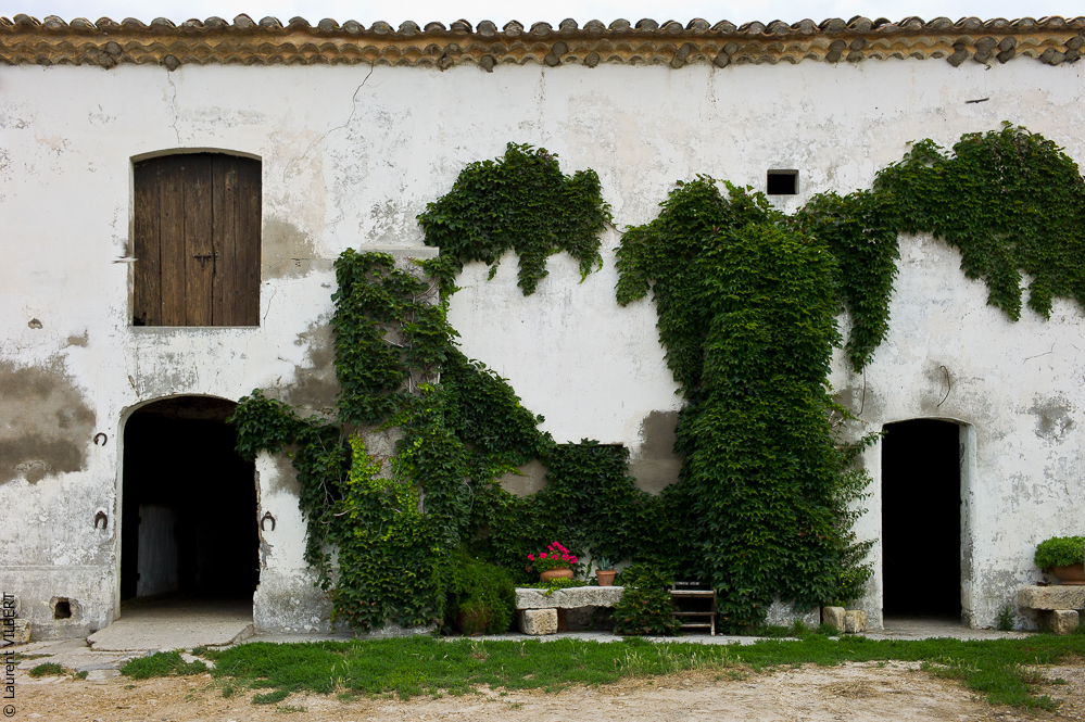 Annabelle 20110610-0607