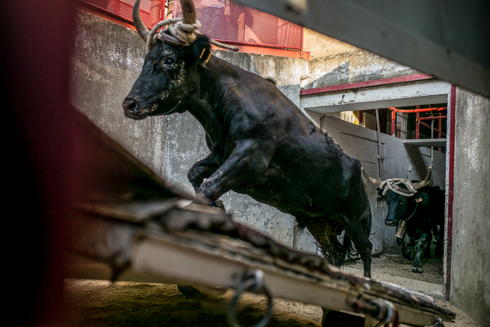 Beaucaire 20150724-0097