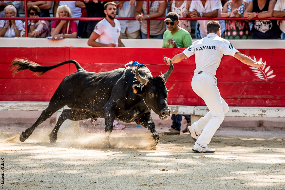 Beaucaire 20160724-0231