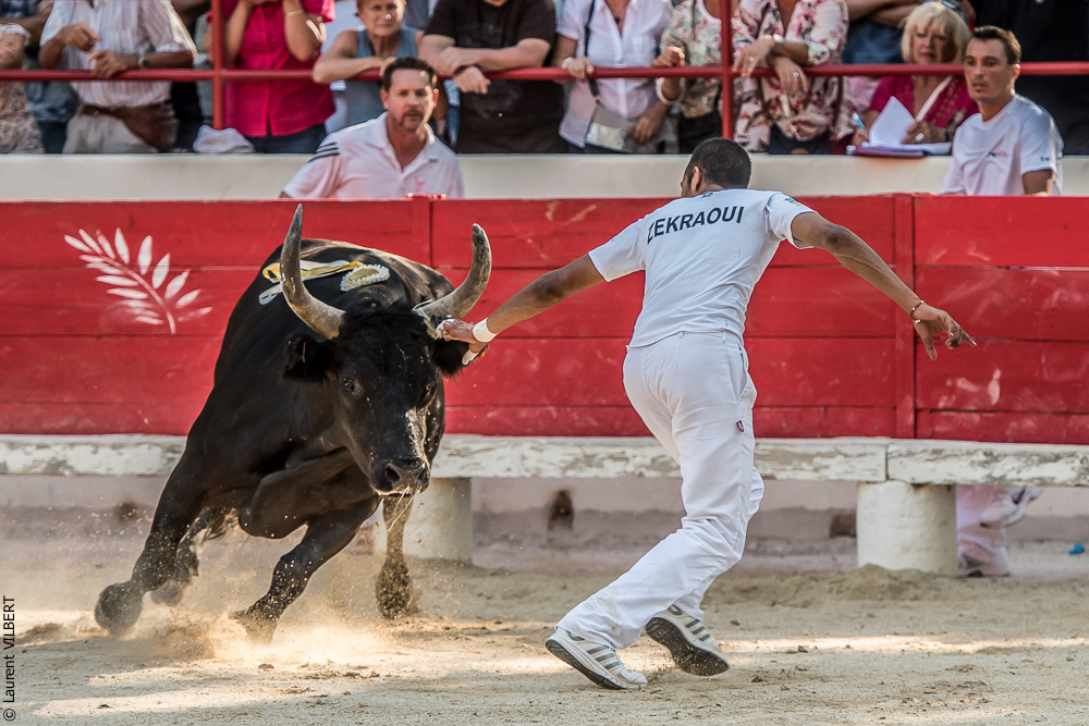Beaucaire 20160724-0674