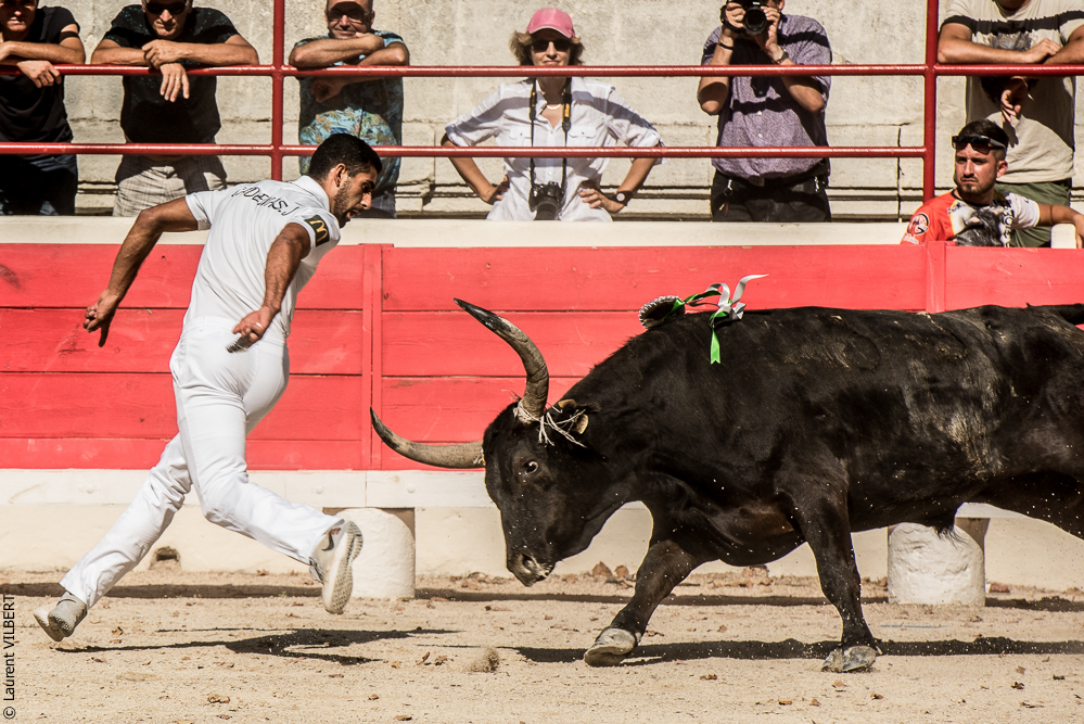 Beaucaire 20170723-0375