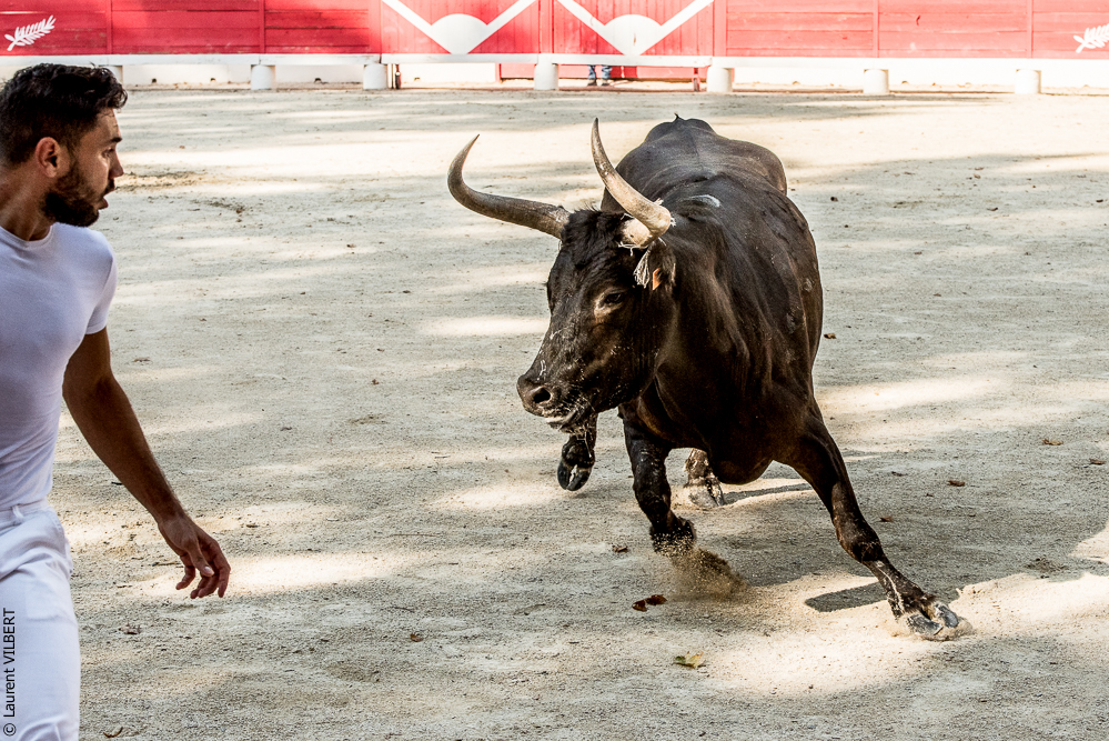 Beaucaire 20170723-0700