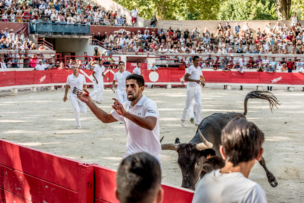Beaucaire 20170723-0712