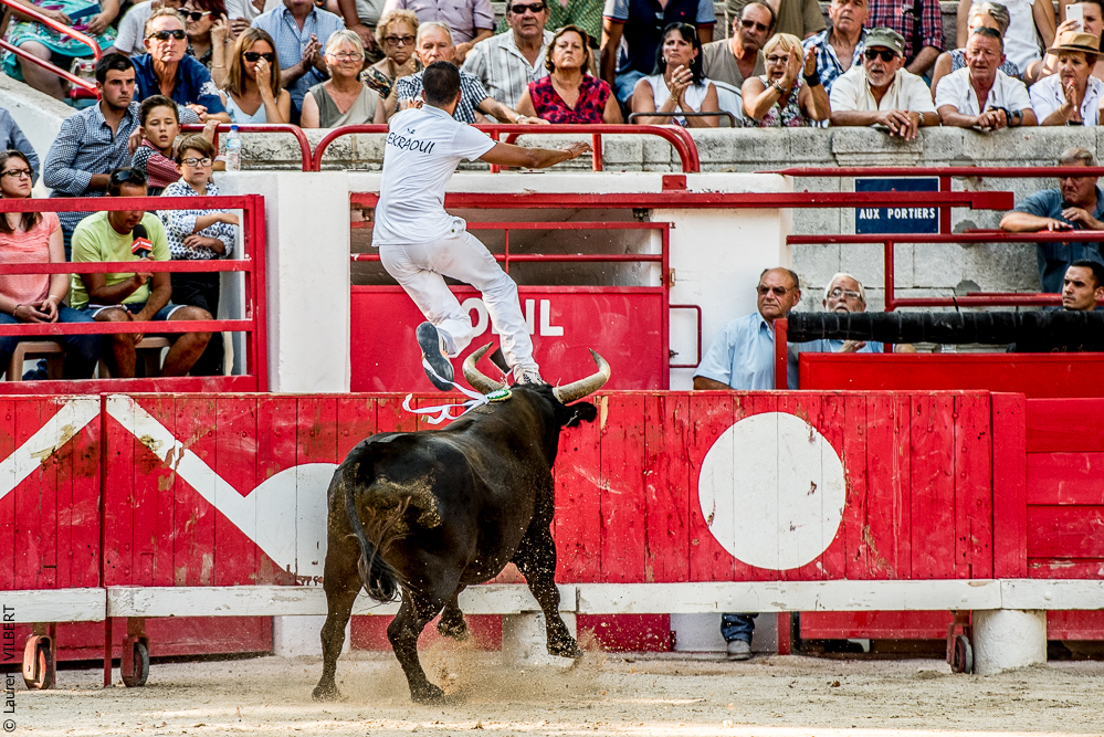Beaucaire 20170723-0833