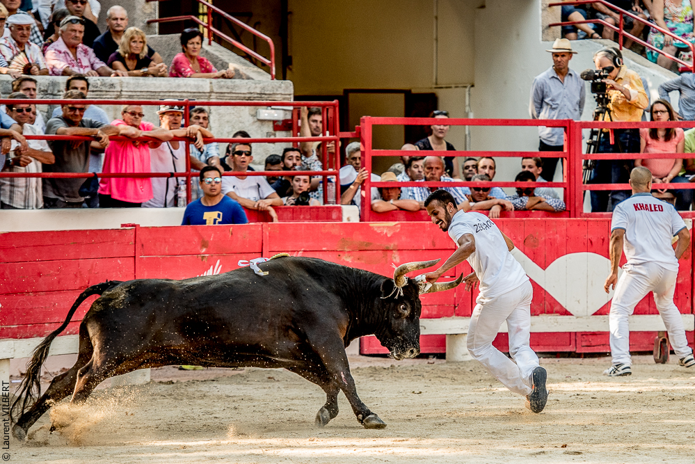 Beaucaire 20170723-0877