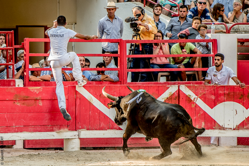 Beaucaire 20170723-0880