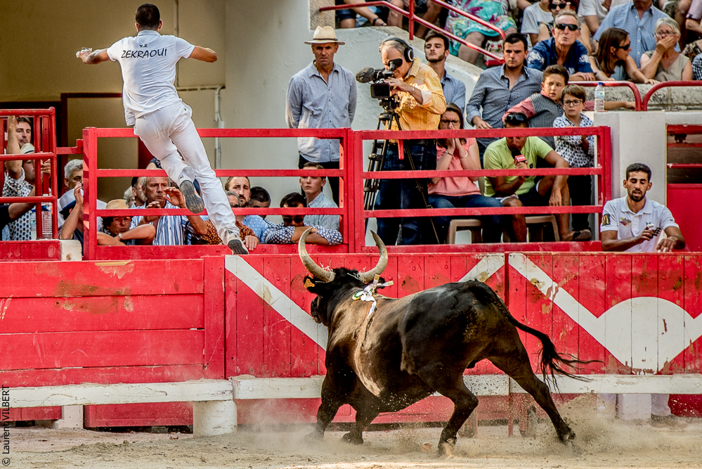 Beaucaire 20170723-0881