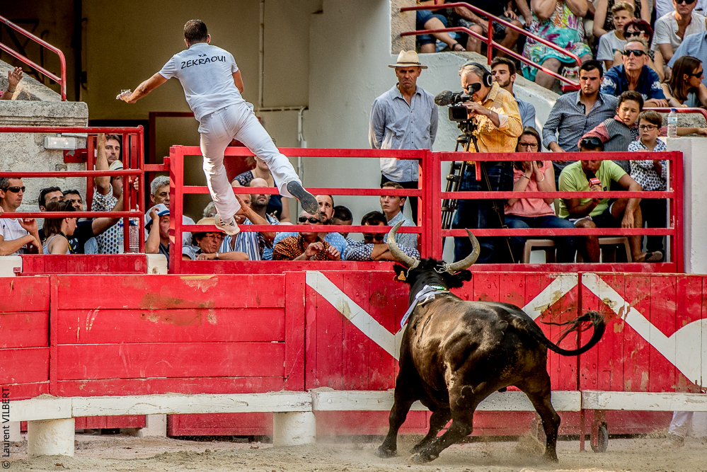 Beaucaire 20170723-0882