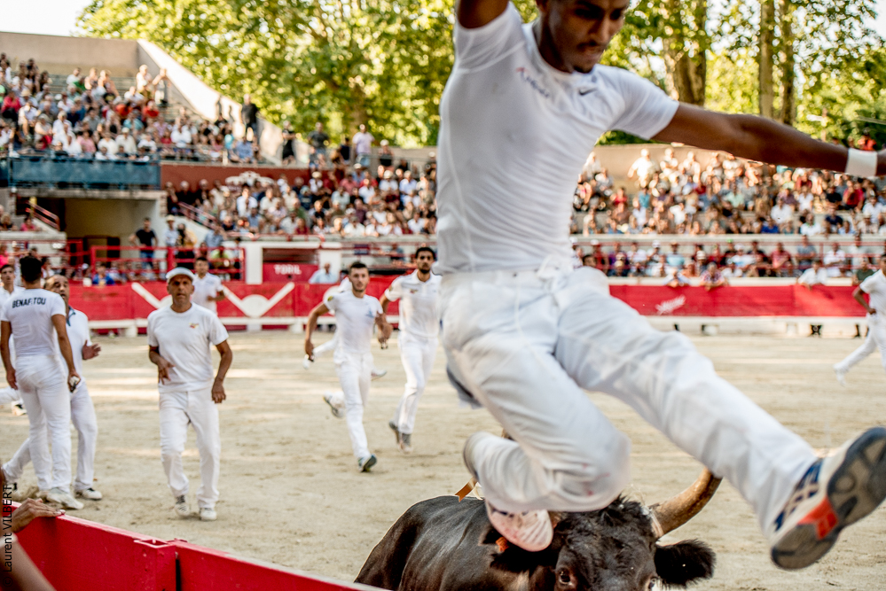 Beaucaire 20170723-0978