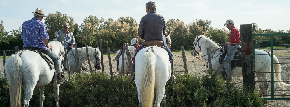 Blatière 20140607-0006